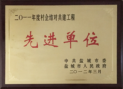 2012年3月村企結(jié)對(duì)共建工程“先進(jìn)單位”.JPG